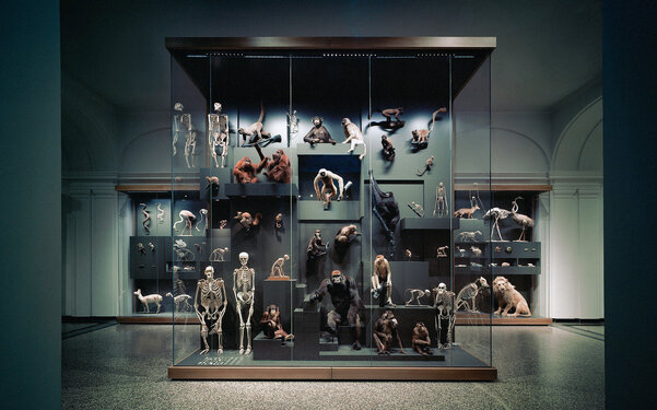HESSISCHES LANDESMUSEUM