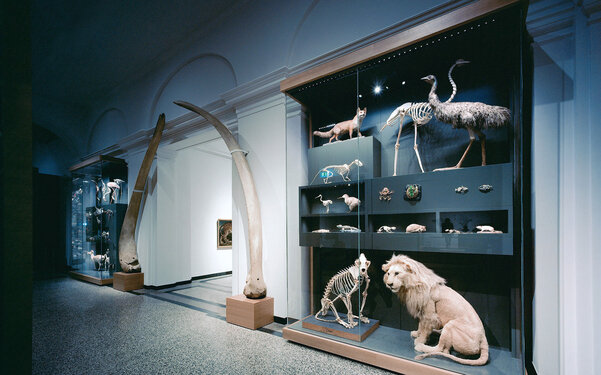 HESSISCHES LANDESMUSEUM