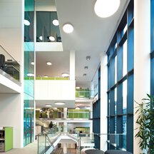 IMP - Research Institute of Molecular Pathology