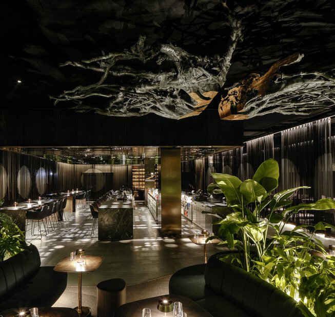 Mosh Bar & Dinner