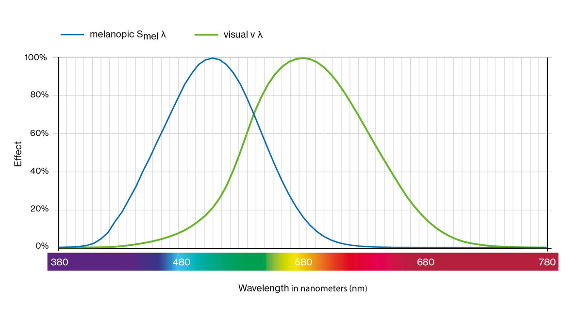 Curva di sensibilità visiva v (verde) e curva di soppressione della melatonina Smel λ (blu).
