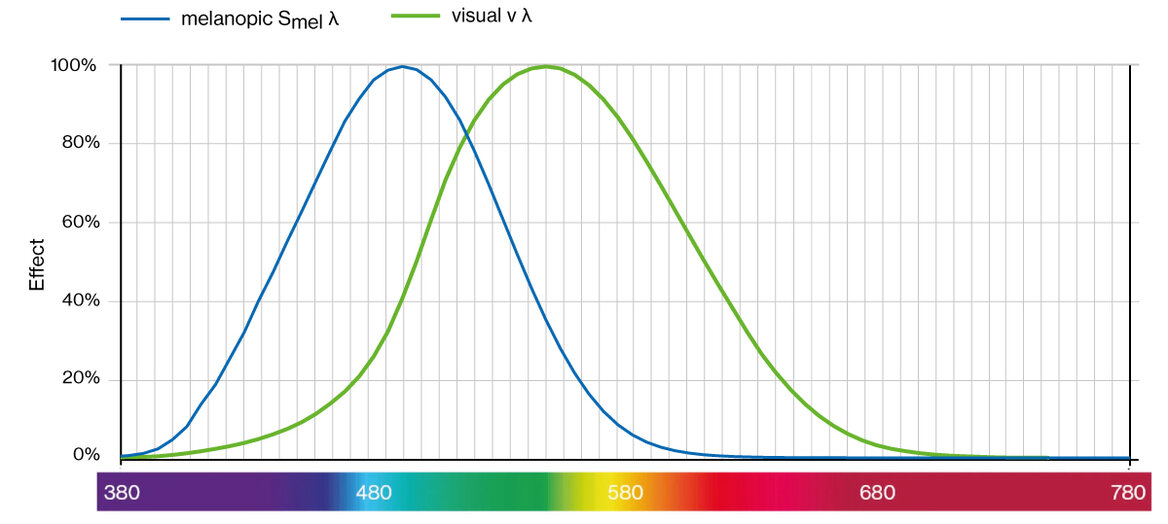 Visual sensitivity curve v λ (green) and melatonin suppression curve Smel λ (blue).